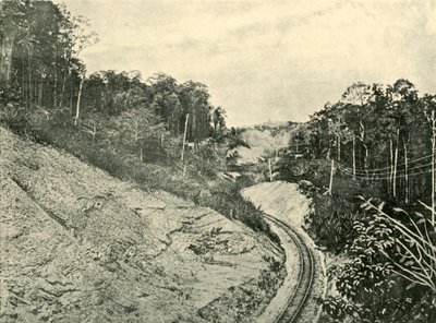 Nelle Blackall Ranges, 1901 da Unbekannt