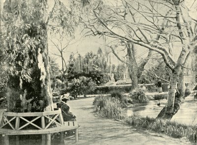 Nei Giardini Botanici, Adelaide da Unbekannt