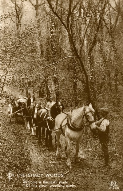 Nel bosco ombroso, fine 19° o inizio 20° secolo da Unbekannt