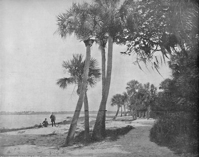 Indian River, Florida, c1897 da Unbekannt