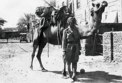 Cavaliere di cammelli indiano, Baghdad da Unbekannt