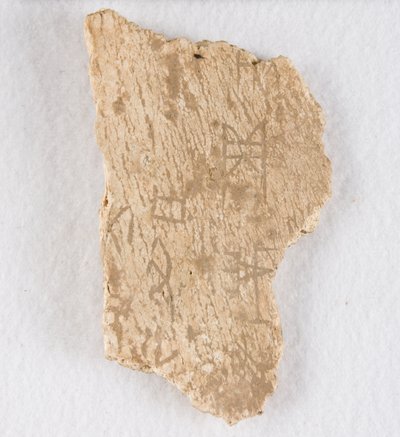 Frammento di osso inciso, osso oracolare, Tarda dinastia Shang, ca. 1300-1050 a.C. da Unbekannt