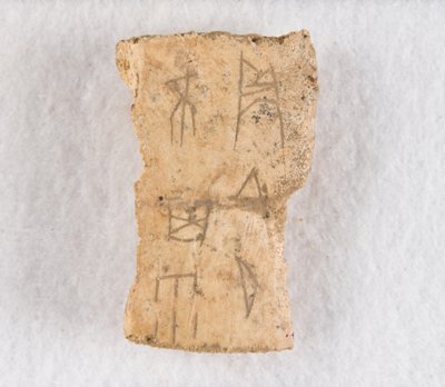 Frammento di osso iscritto, osso oracolare, tarda dinastia Shang, ca. 1300-1050 a.C. da Unbekannt