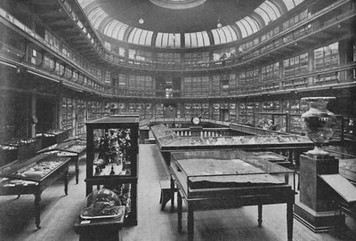 Interno del Museo Geologico, Jermyn Street, 1904 da Unbekannt
