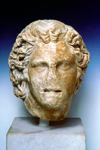 Busto in avorio di Alessandro Magno, IV secolo a.C. da Unbekannt