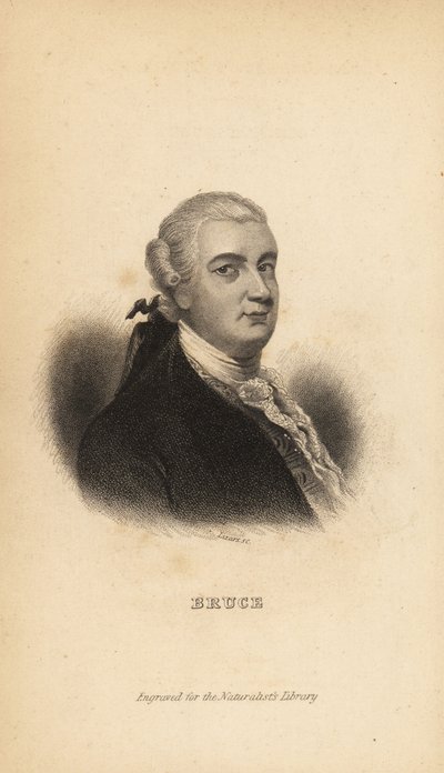 James Bruce di Kinnaird, esploratore scozzese, scrittore e naturalista da Unbekannt