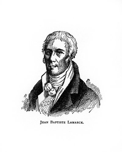 Jean-Baptiste Lamarck, naturalista francese, 20° secolo da Unbekannt