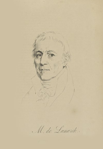 Jean-Baptiste Pierre Antoine de Monet, Chevalier de Lamarck da Unbekannt