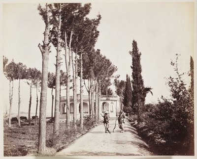 Jellallabad Il marciapiede del giardino dell