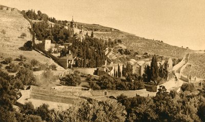 Gerusalemme - Getsemani, c1918-c1939 da Unbekannt