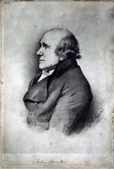 John Hunter, chirurgo e anatomista britannico, c 1770 da Unbekannt