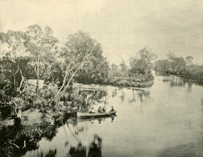 Incrocio dei fiumi Glengarry e Thompson, Victoria, 1901 da Unbekannt