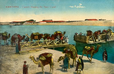 Kantara - Cammelli che attraversano il Canale di Suez da Unbekannt