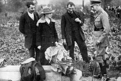 Re Giorgio V ammira gli orti su Clapham Common, Londra, c. 1910s-c. 1920s 1936 da Unbekannt