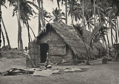 Palme da cocco e capanna di nativi fatta di foglie di cocco da Unbekannt