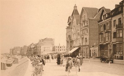 La Digue, La Promenade, c1900 da Unbekannt