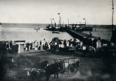 Luogo di sbarco, Punta Arenas, 1911 da Unbekannt
