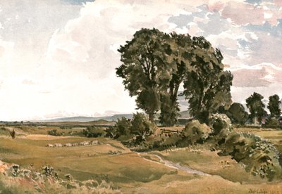 Paesaggio, vicino a Wareham, Dorset - uno schizzo all
