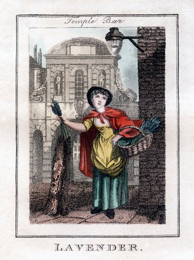 Lavanda, Temple Bar, Londra, 1805 da Unbekannt