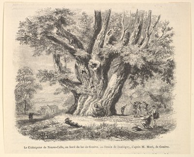 Le Châtaignier de Neuve-Celle, au bord du lac de Genève, dopo Daubigny da Unbekannt