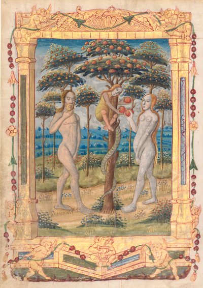 Foglio da un Libro d