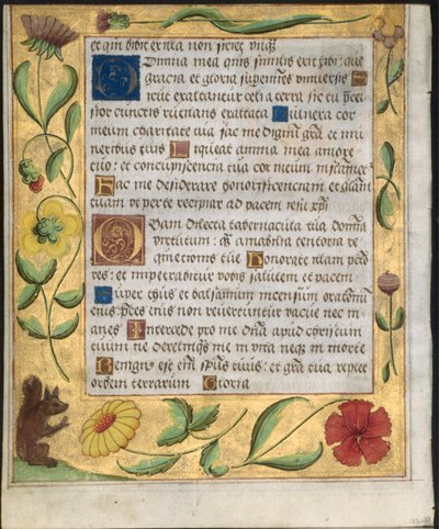 Foglio da un Salterio e Libro di Preghiere: Bordo ornamentale con fiori e scoiattolo verso, c. 1524 da Unbekannt