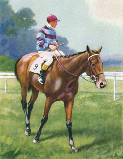 Leggenda di Francia, fantino: A. Richardson, 1939 da Unbekannt