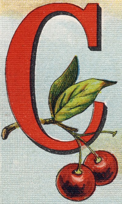 Lettera C: ciliegie da Unbekannt