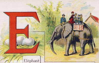 Lettera E: Elefante. Incisione in ABC L