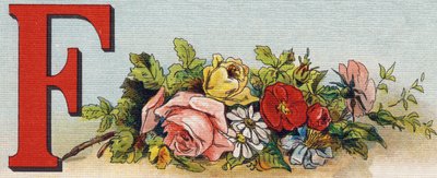 Lettera F: fiori da Unbekannt