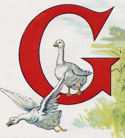 Lettera G: Buone anatre. Incisione in "ABC L