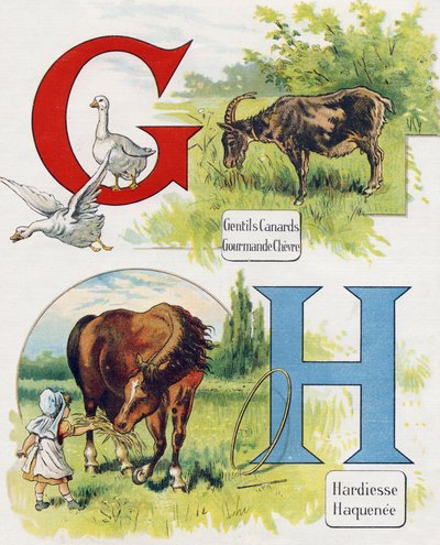 Lettera G e H: Buone anatre, capra golosa, audacia e Haquenee. Incisione in "ABC L