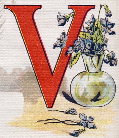 Lettera V: vaso con violette. Incisione in "ABC L