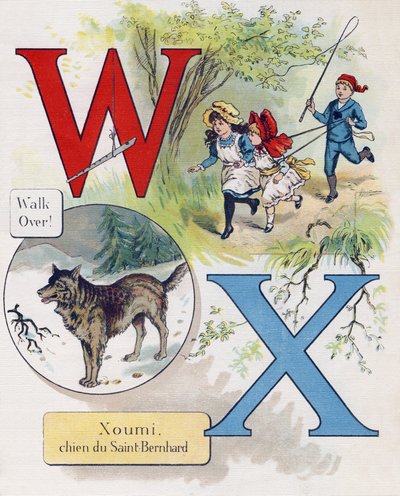 Lettera W e X: Walk over e Xoumi, cane di San Bernardo. Incisione in ABC L