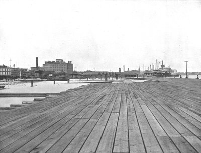 Levee e sbarco del battello a vapore, New Orleans, Louisiana, USA, c. 1900 da Unbekannt