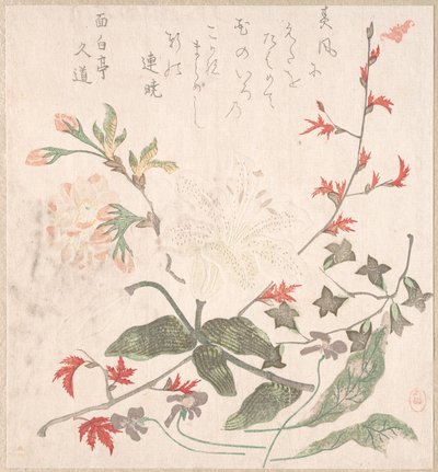Giglio, Viole, Fiori di Ciliegio, Forsizia e un Ramo di Acero Rosso, XVIII-XIX secolo da Unbekannt