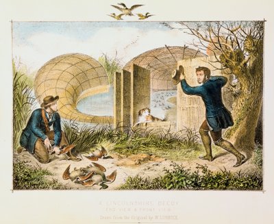 Richiamo delle anatre del Lincolnshire, c. 1845 da Unbekannt