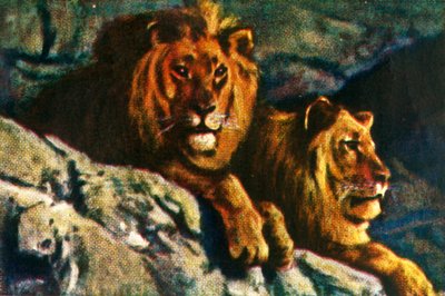 Leoni, c.1928 da Unbekannt