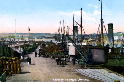 Caricamento delle patate, Jersey, 1908 da Unbekannt