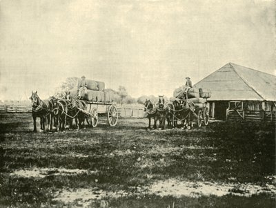 Caricamento della lana, Stazione Warrawooh, Wimmera da Unbekannt