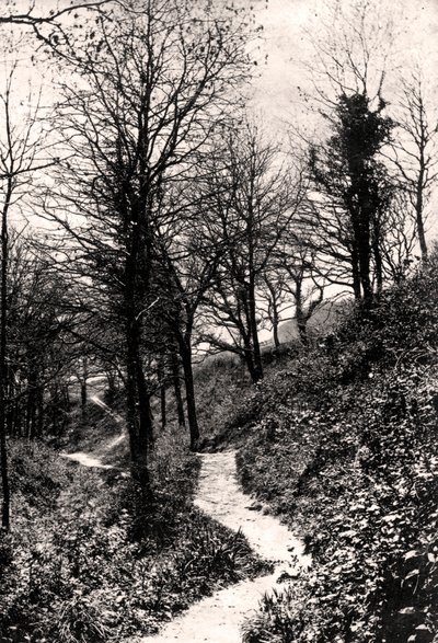 Viale degli Amanti, Fairlight, Hastings, Sussex da Unbekannt