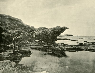 Bassa marea, Shelly Beach, Warrnambool, 1901 da Unbekannt