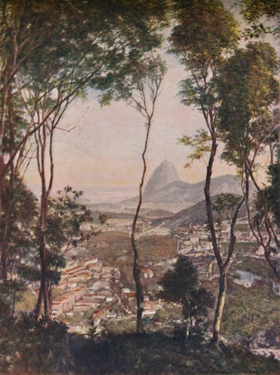 Boschi lussureggianti sulla collina di Santa Teresa che guardano sui tetti di Lapa, c1935 da Unbekannt