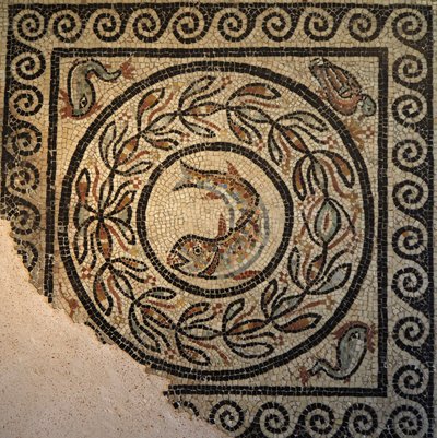 Lione, regione Alvernia-Rodano-Alpi, dipartimento del Rodano. 69000 Mosaique de Choulans, scoperta nel 1967. Rappresentante un pesce da Unbekannt
