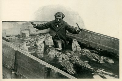 M. Pernelet e i suoi animali domestici, 1902 da Unbekannt