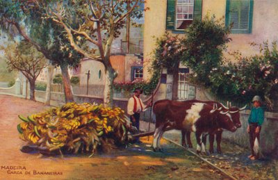 Madeira - Carca De Bananeiras, c1940 da Unbekannt