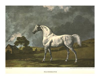 Mambrino, c1779, c1955 da Unbekannt