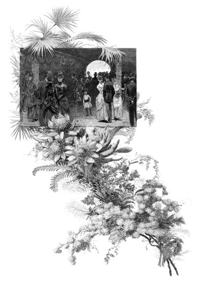 Mostra di fiori selvatici di Manly, Sydney, Nuovo Galles del Sud, Australia, 1886 da Unbekannt