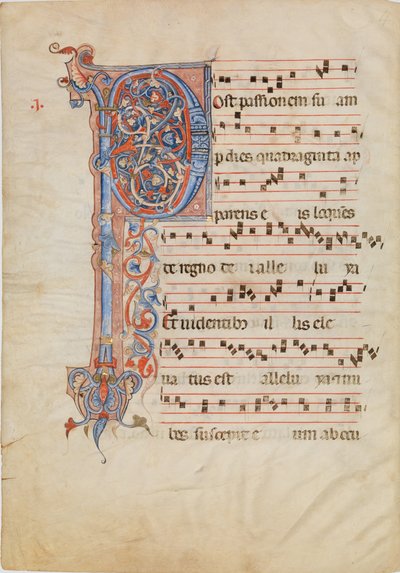 Foglio di manoscritto con iniziale foliata P, da un Antifonario, ca. 1250-60 da Unbekannt