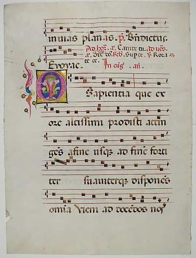 Foglio di manoscritto con iniziale O, da un antifonario, italiano, XV secolo da Unbekannt